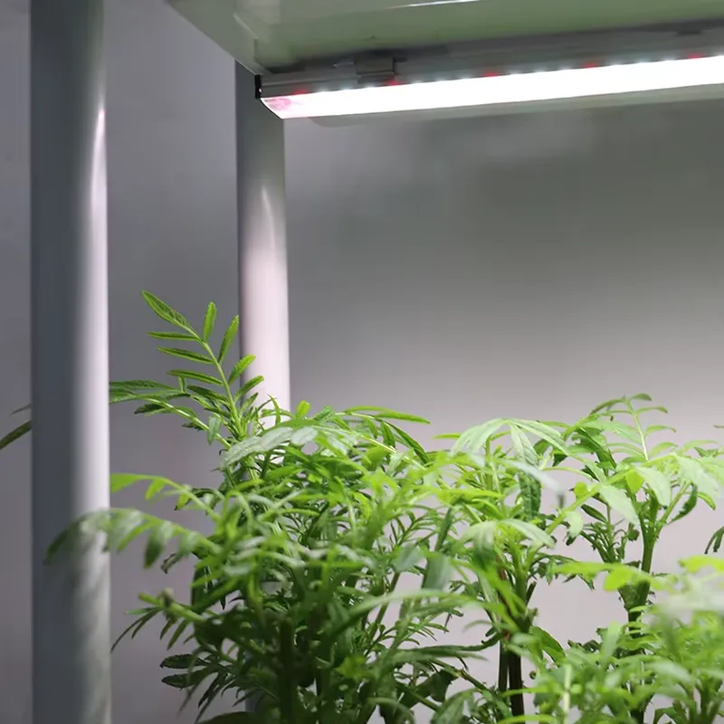 Smart Garden Box - 移動式垂直型3段自動給水スマートガーデンプランターボックススタンド、室内ハーブ植物栽培システム（ライト付き）