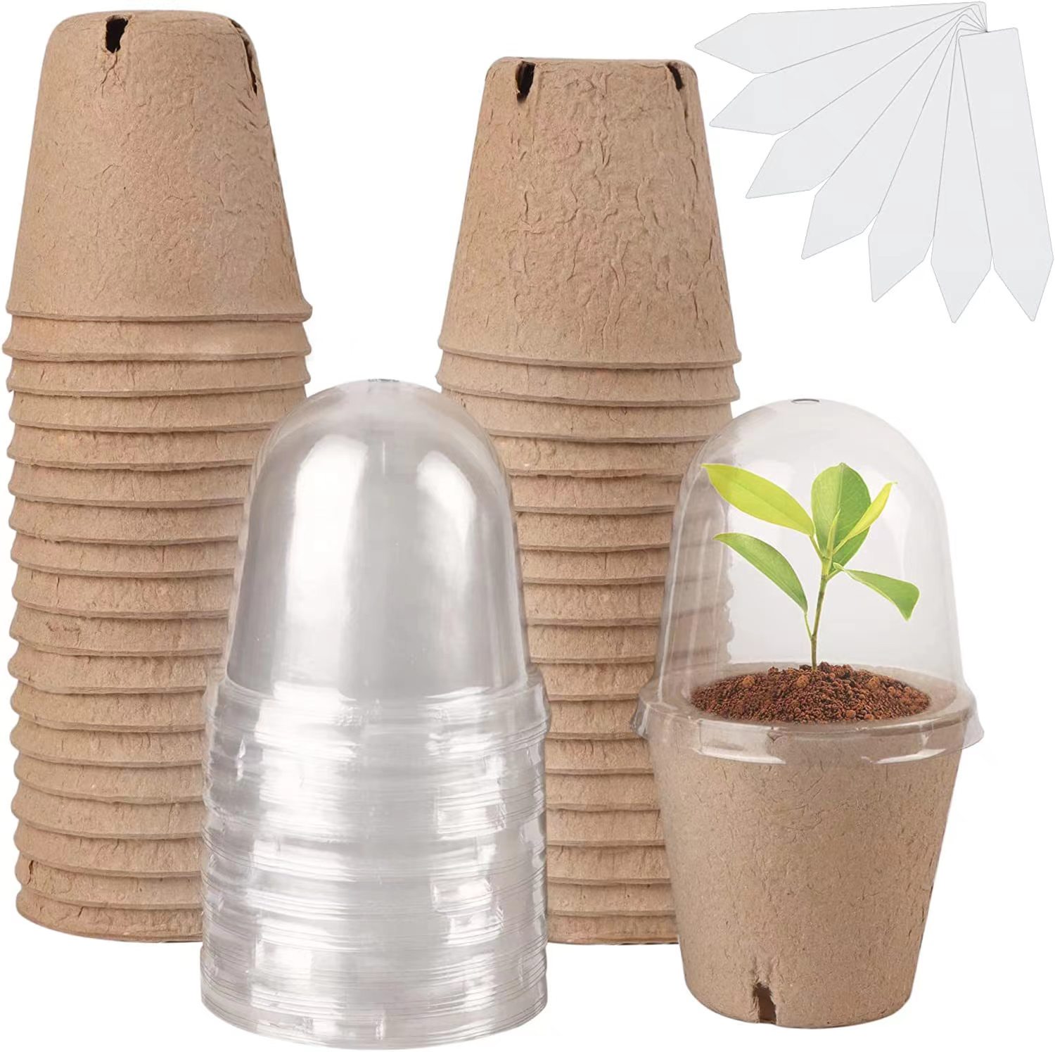 Indoor Herb Garden Kit - 種まき用生分解性ピートポット、苗植え用ポット（1/610ラベル付き）、湿度ドーム付き植木鉢