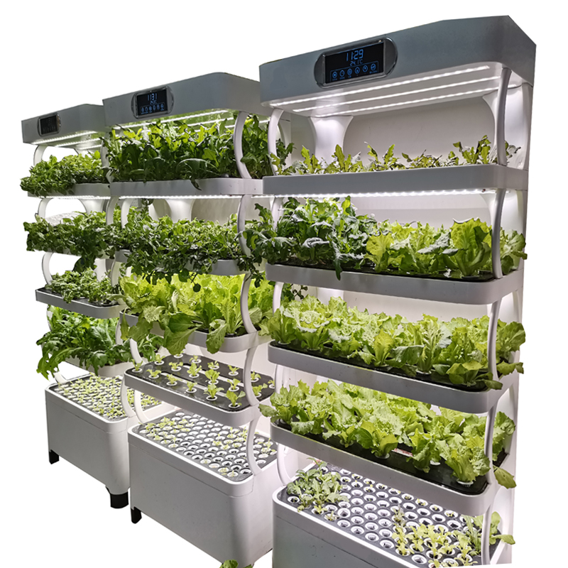 Smart Garden Indoor - 屋内スマート低価格水耕栽培垂直庭園水耕栽培植物野菜栽培システムキット CE