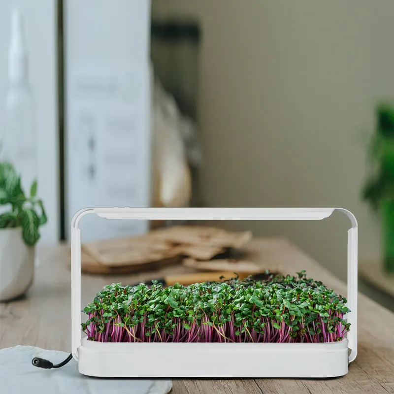 Smart Garden Ideas - 室内ハーブガーデン育成ライト温室キット ギフトアイデア LED水耕栽培システム スマートミニガーデン フルスペクトラム