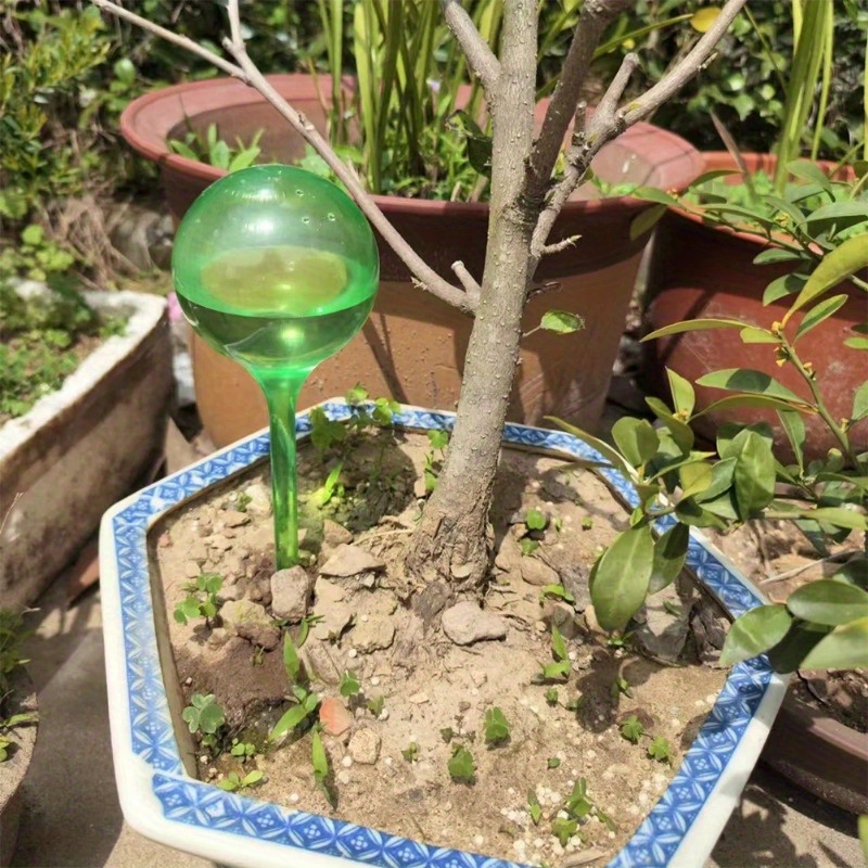 6個入り 室内植物用自動給水ボール 自動植物花水球 ドリップ - Smart Garden Irrigation のレビューと価格