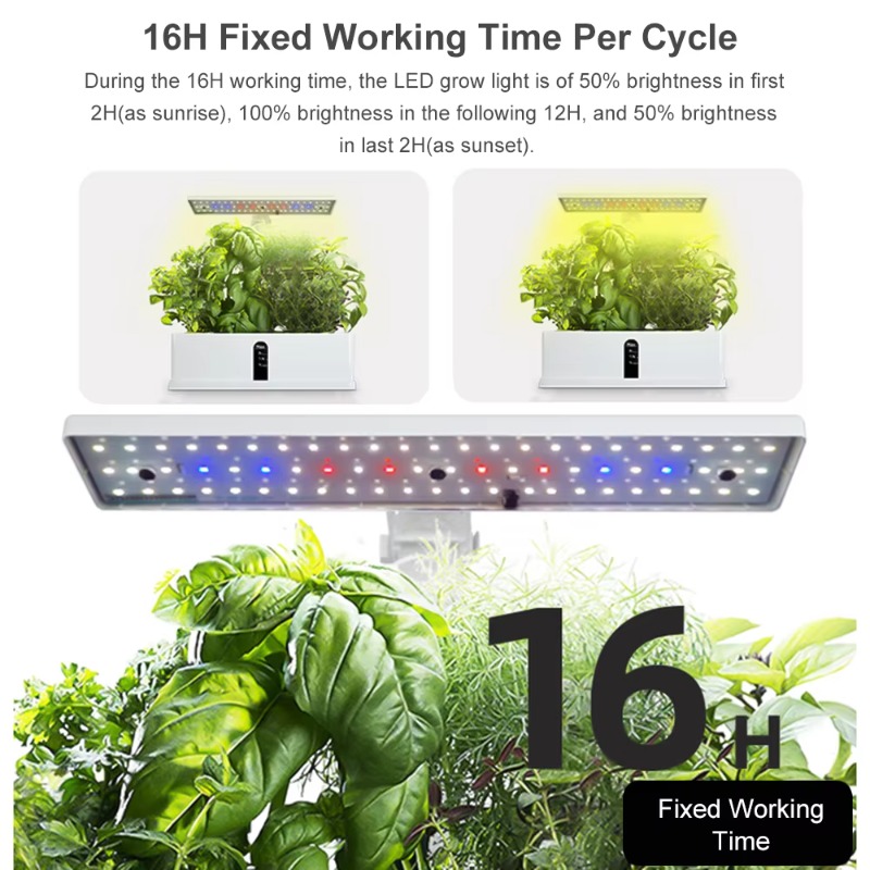 9ポッドスマート水耕栽培システム 室内ガーデンキット 自動タ - Smart Garden Indoor のレビューと価格