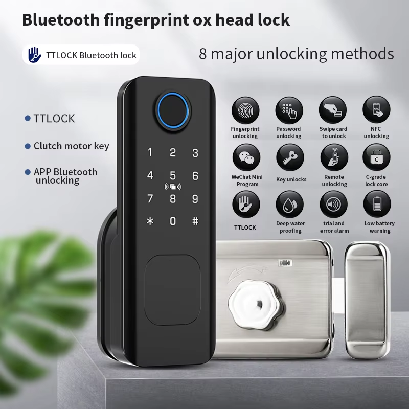 初心者向けTuya TTLock屋外中庭ゲート片面指紋認証リ - Smart Garden Door Lock のレビューと価格
