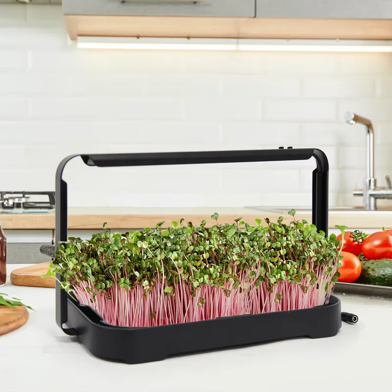 水耕栽培トレイ 室内マイクログリーン マイクログリーン種子  - Smart Garden Indoor のレビューと価格
